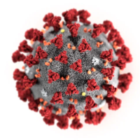 This illustration provided by the Centers for Disease Control and Prevention in January 2020 shows the 2019 Novel Coronavirus (2019-nCoV). –Centers for Disease Control and Prevention via AP